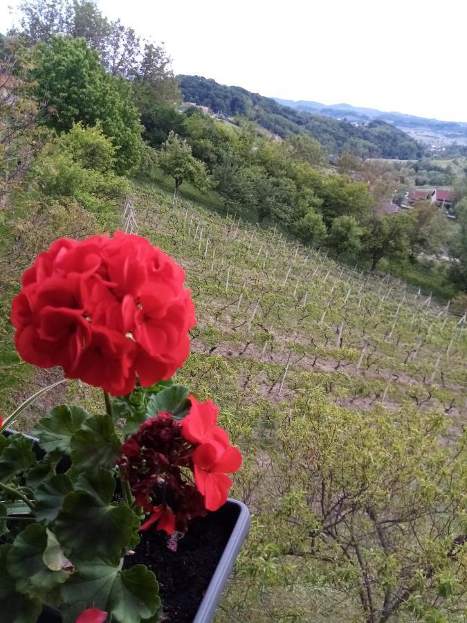Apartman 2 Krapina Esterno foto