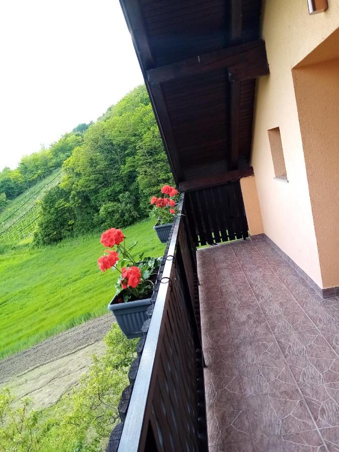 Apartman 2 Krapina Esterno foto