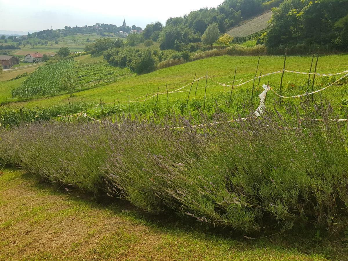 Apartman 2 Krapina Esterno foto